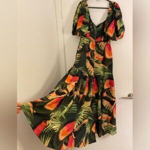 Farm Rio & Anthropologie dress